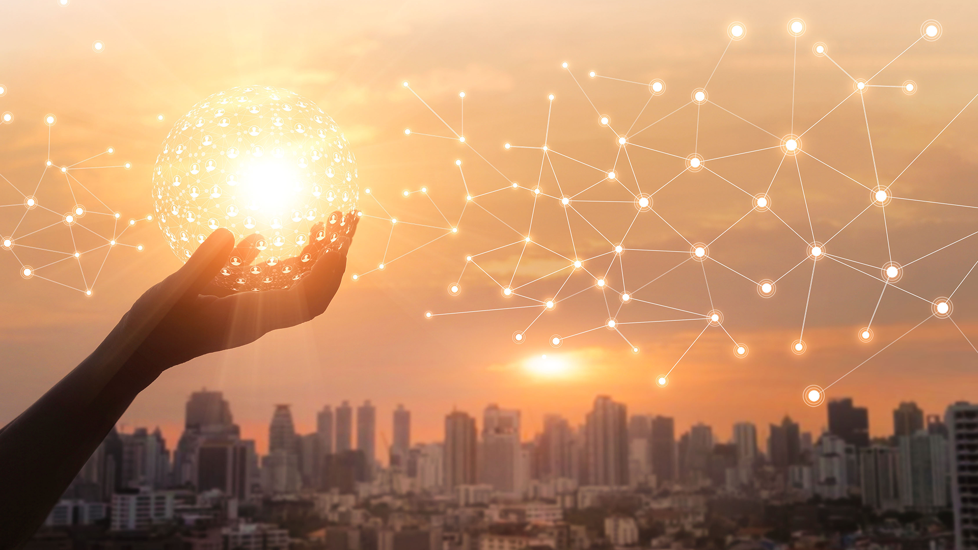 KAIZEN Website OUR OFFER